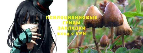 гидропоника Армянск
