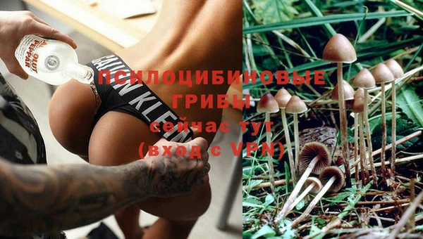 мдма Арсеньев