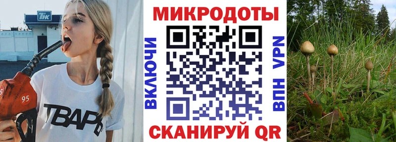 Галлюциногенные грибы MAGIC MUSHROOMS  Красноярск 